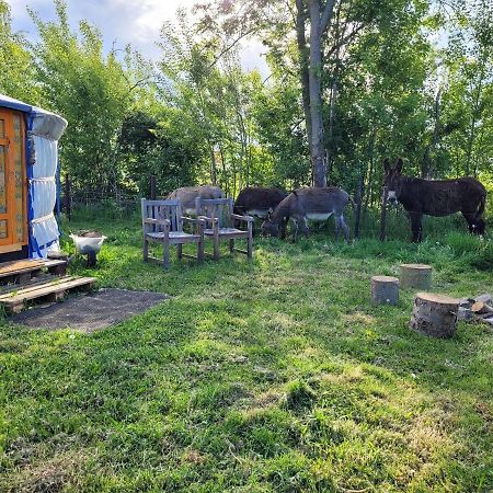 Slapen Tussen De Ezels In De Yurt Hotell Aarschot Exteriör bild