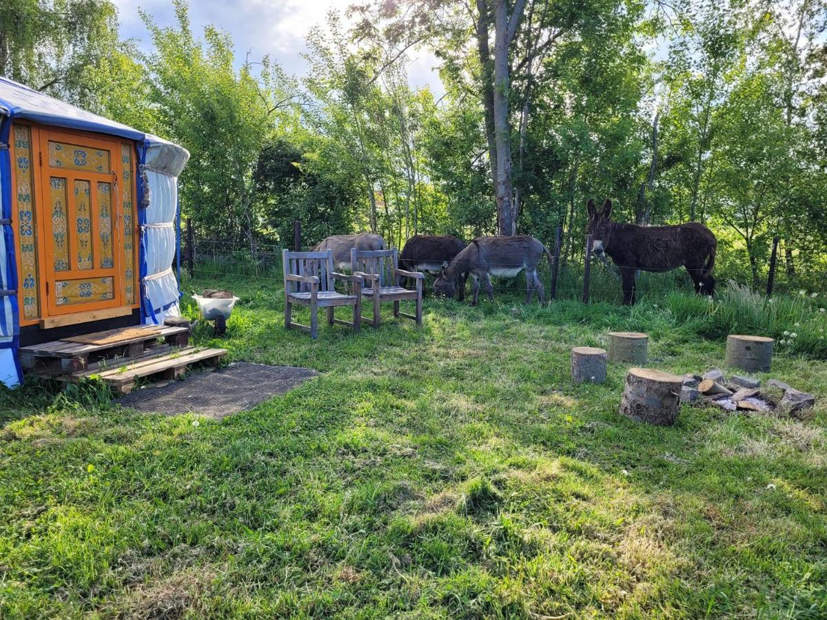 Slapen Tussen De Ezels In De Yurt Hotell Aarschot Exteriör bild