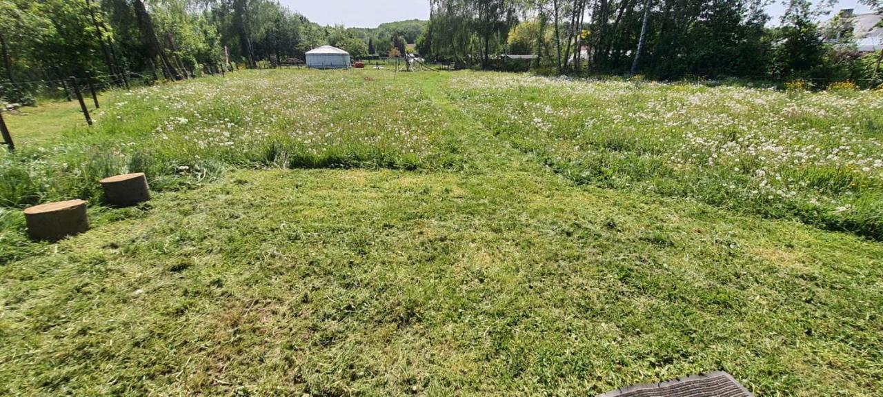 Slapen Tussen De Ezels In De Yurt Hotell Aarschot Exteriör bild