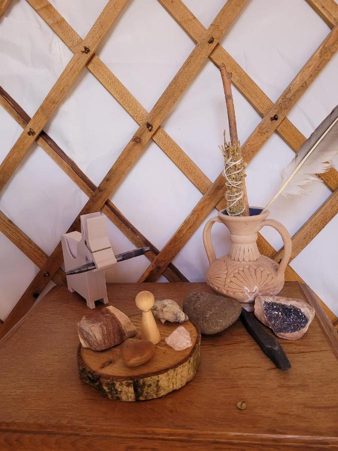Slapen Tussen De Ezels In De Yurt Hotell Aarschot Exteriör bild