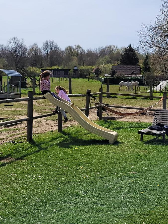 Slapen Tussen De Ezels In De Yurt Hotell Aarschot Exteriör bild