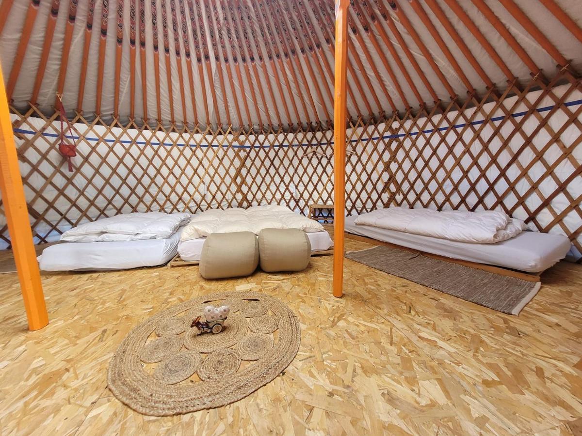Slapen Tussen De Ezels In De Yurt Hotell Aarschot Exteriör bild